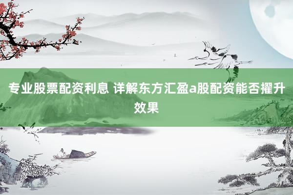 专业股票配资利息 详解东方汇盈a股配资能否擢升效果