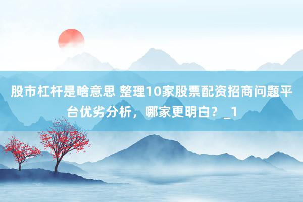 股市杠杆是啥意思 整理10家股票配资招商问题平台优劣分析,哪家更明白?_1